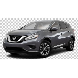 Pack Clignotant ARRIERE LED pour NISSAN MURANO III (Z52_)