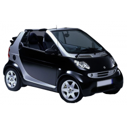 Pack repeaters side led to smart cabrio (450)