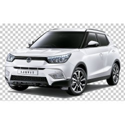Pack LED plaque immatriculation SSANGYONG TIVOLI 01/15-