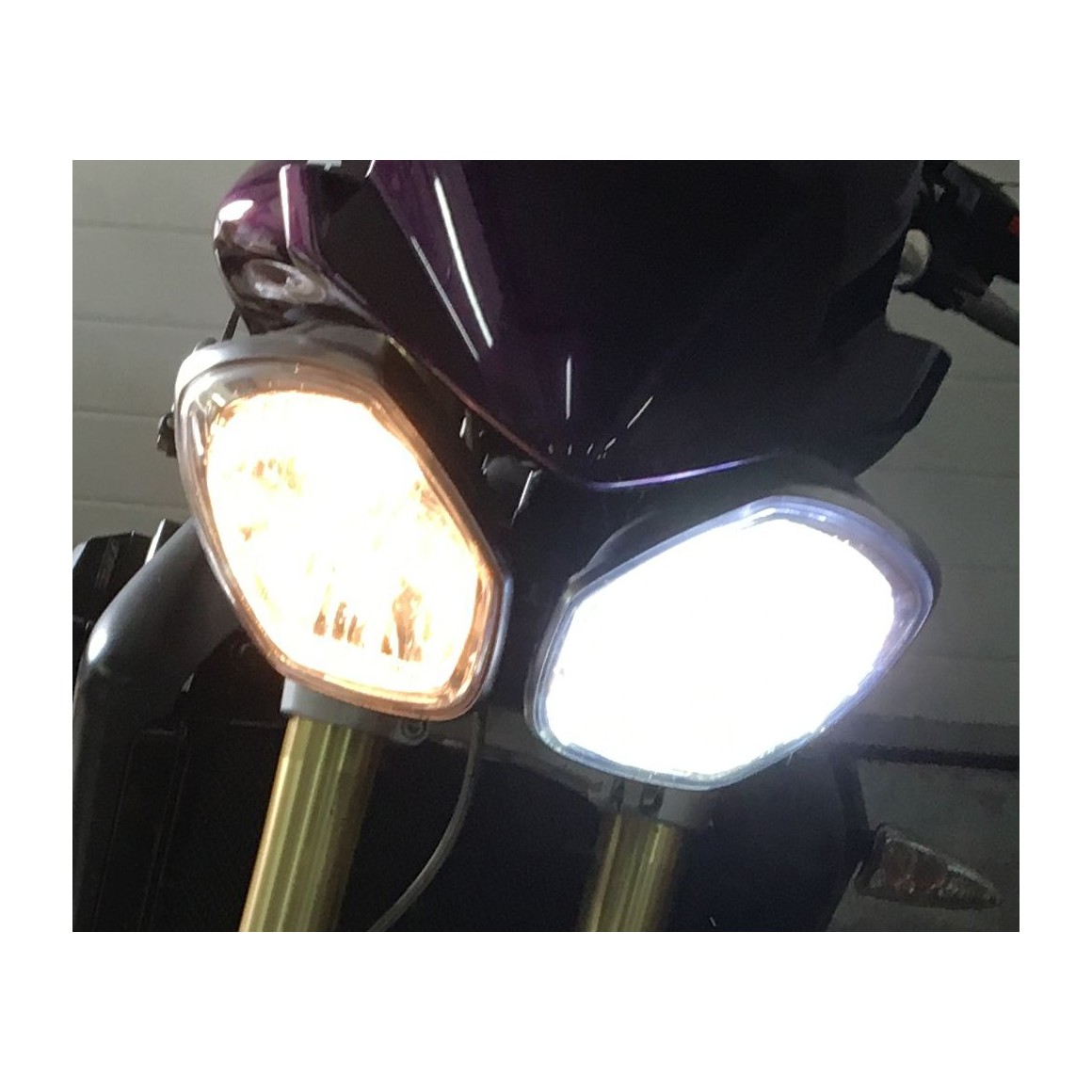 1 ampoule moto HS1 PX43T HILO Led 12V Bi-Leds COB blanc xénon 800 lumens 