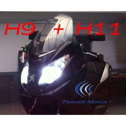 Pack xenon H9 + H11 4300K