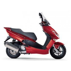 Lâmpadas para faróis com efeito Xénon para Leonardo 250  (SV) - APRILIA