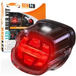 Hintere Brems-/Nacht-LED-Leuchten + LED-Platte – Harley Davidson Dyna Fatboy Softail Road King Glide – homologiert