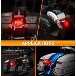 Rear Stop/Night LED Lights + LED Plate - Harley Davidson Dyna Fatboy Softail Road King Glide - Homologated