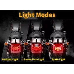 Luci Posteriori Stop/Night LED + Placca LED - Harley Davidson Dyna Fatboy Softail Road King Glide - Omologate