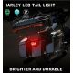 Luci Posteriori Stop/Night LED + Placca LED - Harley Davidson Dyna Fatboy Softail Road King Glide - Omologate