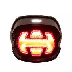 Hintere Brems-/Nacht-LED-Leuchten + LED-Platte – Harley Davidson Dyna Fatboy Softail Road King Glide – homologiert