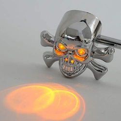2er-Pack Skull+Bones LED-Blinker im Harley-Stil für Motorräder – Chrom-Version – Chopper