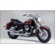Pack xenon effekt LED natlys til XVS 1100 A - YAMAHA