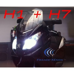 Paquete de xenón h7 + h1 6000k