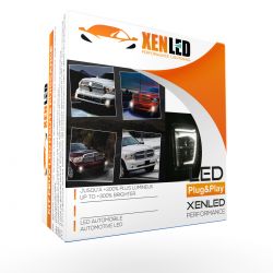 Fendinebbia LED Dodge RAM + luci diurne - 2013 - 2018 - omologato - XenLed - 48W - fumè - la coppia - 2000Lms