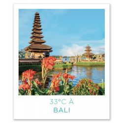 Lingettes parfumées - 33°C à Bali - IMAO - HAUT DE GAMME - Parfums x24