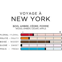 IMAO Lufterfrischerspray Voyage à New York