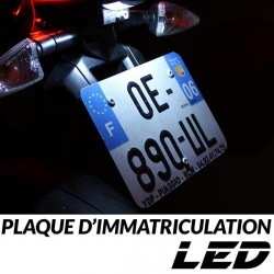 Pack LED plaque immatriculation 1098 1098 R (H7 moto02) - DUCATI