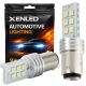 2 x 12 LED SS HP bulbs - P21/5W - White - BAY15D - 5500K 12V Double intensity