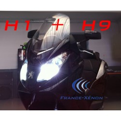 HID xenon H1 + H9 set 6000K - moto