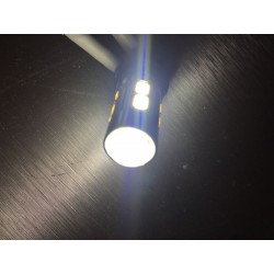 Ampoule 10 LED SG - PW24W - Haut de Gamme