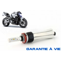 H11 55w bulb xl6s - 4600lm - Motorcycle - 12v / 24v