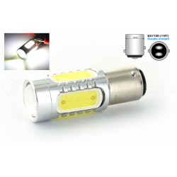 Lampadina 5 LED COB - P21/5W - Bianco - 12V Doppia intensità