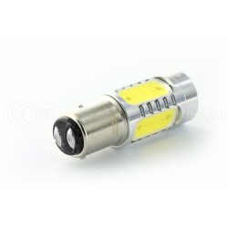 5 LED bulb cob - p21 / 5w - White