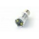Ampoules 10 CREE 50W - P21/5W - Haut de Gamme