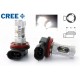 2 x 6 LED CREE 30W bulbs - H9 - High-end PGJ19-5 12V - White LED signaling bulb