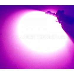 1 x lampadina W5W LED a 4 rosa super-canbus 160lms xenled