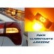 Pack ampoules clignotant arrière LED - RENAULT TRUCKS Midliner