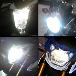 Confezione lampadine del faro allo xeno effetto per 851 s (zdm851s) - Ducati