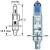 H1