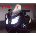 Confezione: H4 + H7