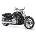 V-ROD MUSCLE 1250 ABS