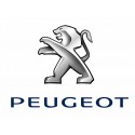 PEUGEOT - LED AJOVALOT JA -VALOT