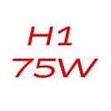 H1 75W