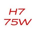 H7 75W