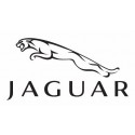 Pack LED Jaguar